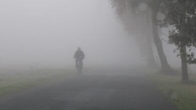 Yarın ve pazar günü sabah saatlerinde yer yer sis bekleniyor 2 yarin ve pazar gunu sabah saatlerinde yer yer sis bekleniyor 7bkftTXb