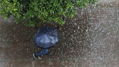 yesilirmakta 24 kg yagis kaydedildi g3lNB688