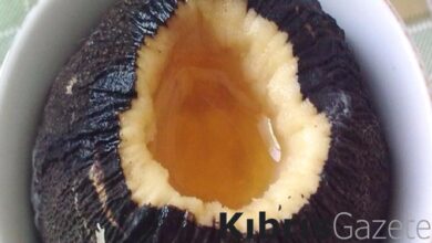 1 kasik yiyin 30 yil oksurmeyin cigerleri piril piril ediyor matdIi7B