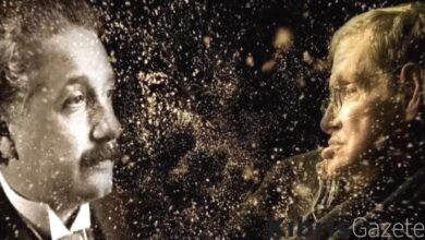 12 yasindaki cocuk iq testinde einstein ve hawkingi gecti QR7fA145