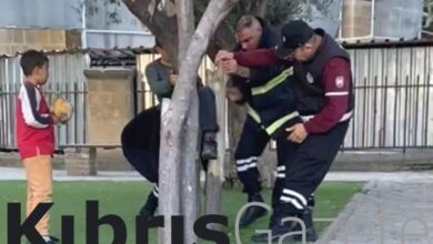 12 yaşındaki Furkan oyun oynarken ağaca sıkıştı! 4 12 yasindaki furkan oyun oynarken agaca sikisti jnI19sbK