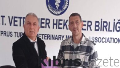 500 sokak hayvani yuzde 50 indirimli kisirlastirilacak F6SqMGg3