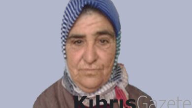 61 yaşındaki Fatma Taşkın kayıp 9 61 yasindaki fatma taskin kayip gOsK19BN