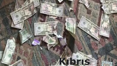 ABD'de çiftin 4 bin dolarını köpek yedi: Parayı dışkısında aradılar 2 abdde ciftin 4 bin dolarini kopek yedi parayi diskisinda aradilar wLsGcIMu