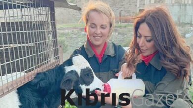 alibabadan genclere mesaj topragi sevin ve uretin yMwXBgbP