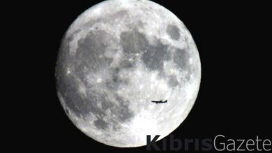 bilim insanlari endiseli ayin somurulmesi buyuk zarara neden olabilir eP48e1Gh