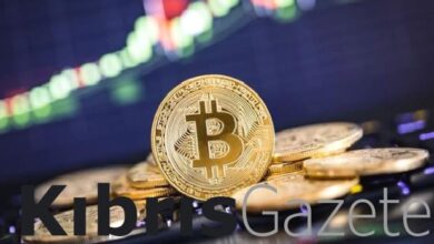 Bitcoin yıla hızlı girdi 3 bitcoin yila hizli girdi iGmMFTd2