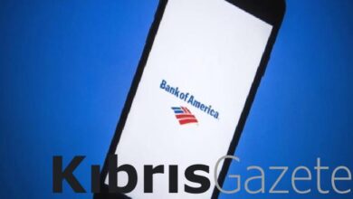 BofA: Türk bankaları yeniden radarda 2 bofa turk bankalari yeniden radarda BsXZ1s6q