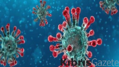 Çinli bilim insanlarından deney: Yeni koronavirüs türü yüzde 100 ölümcül 1 cinli bilim insanlarindan deney yeni koronavirus turu yuzde 100 olumcul ZZpUIZe9