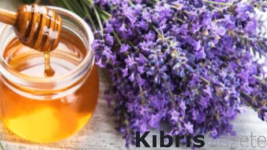 damarlari porcoz gibi aciyor sabahlari 1 parmak yiyin tikanikligi giderin Tk7m5BJ9