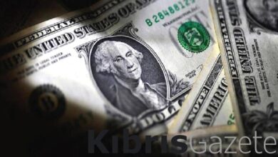Dolarda tarihi rekor: 30 TL’yi gördü 1 dolarda tarihi rekor 30 tlyi gordu 8lIsEBPU