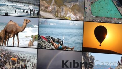 dunya 2023te en sicak yili yasadi ortalama sicaklik artisi 15 dereceye yaklasti CrR3pury