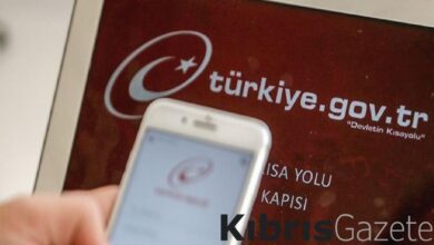 e-Devlet Kapısı'na geçen yıl 4,4 milyar girişle rekor kırıldı 1 e devlet kapisina gecen yil 44 milyar girisle rekor kirildi ca3apqdb