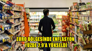 Euro Bölgesinde Tüketici Fiyat Endeksi, senelik bazda 2,9 civarına çıktı 6 euro bolgesinde tuketici fiyat endeksi yillik bazda 29 seviyesine cikti. 1607 2024 01 05 m