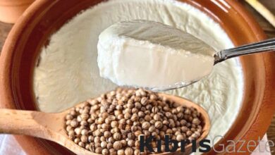 geceleri 1 kase kisnis tohumlu yogurt yemenin faydalari ijfN9h6A