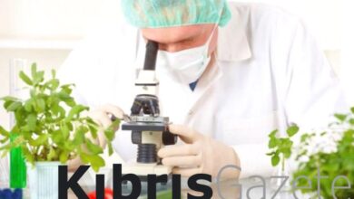 gida denetim sonuclari bir ithal urunde limit ustu 3 yerli urunde de tavsiye disi VTASj44G