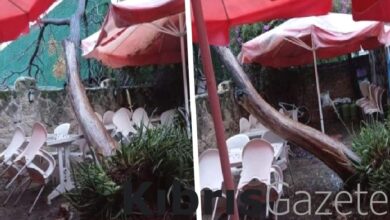 girnede firtina agaci devirdi kQsvKF9H