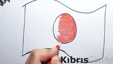 Güney Kore, Japonya’nın tsunami alarmına Dokdo adacıklarını eklemesini protesto etti 5 guney kore japonyanin tsunami alarmina dokdo adaciklarini eklemesini protesto etti 88BdfwRE