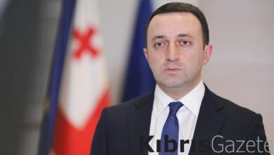 gurcistan basbakani garibasvili gorevinden istifa etti SAF11lHZ