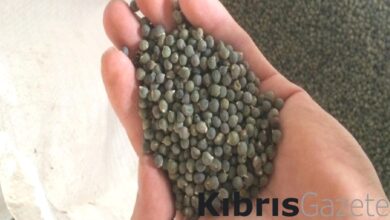 her sabah ac karnina tuketin ne diyabet kaliyor ne de kanser eEaFVzua