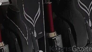 hirsiz fare pahali gerdanligi caldi pFRADjid