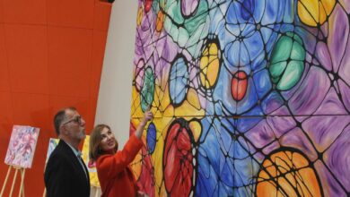 inna banduranin odullu resmi ilk kez ercan havalimaninda sergileniyor G86LThpf