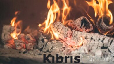 isinmak icin yakilan mangal yangina neden oldu ebNY6d6S