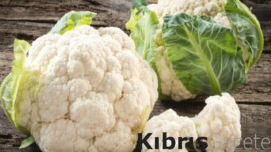 Karnabahar hangi hastalıklara iyi gelir? Karnabaharın faydaları nelerdir? 1 karnabahar hangi hastaliklara iyi gelir karnabaharin faydalari nelerdir Gg6wesUg