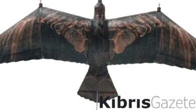 karsinizda kartal seklinde askeri drone evolution eagle 3DQmMV4L