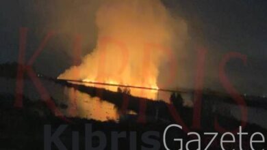 Lefkoşa’da boş arazi cayır cayır yandı! 10 lefkosada bos arazi cayir cayir yandi ESfOwAVh