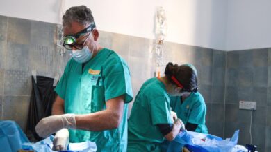 LTB ile NETAP’ın iş birliğinde Lefkoşa Hayvan Barınağı’nda kısırlaştırma çalışmaları başladı 3 ltb ile netapin is birliginde lefkosa hayvan barinaginda kisirlastirma calismalari basladi qaIRvANC