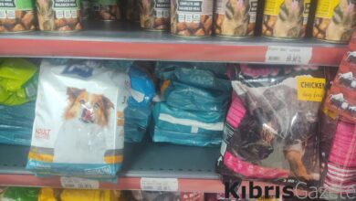 mama ve veteriner ucretleri artti hayvan severler zor durumda 6SwNJhnd