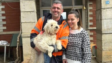 mamani tasmani al gel etkinligine hayvan severlerin ilgisi buyuk oldu lgNaGSEe