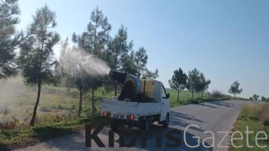 Mehmetçik-Büyükkonuk Belediyesi çam kese böceğiyle biyolojik mücadele başlattı 1 mehmetcik buyukkonuk belediyesi cam kese bocegiyle biyolojik mucadele baslatti 1hx7sBP3