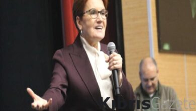meral aksener chp ile el sikistik ama basaramadik HFyhCNCf