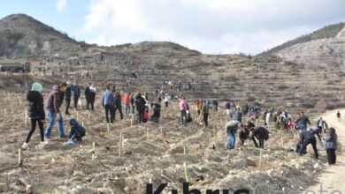 mersinlik yeniden yesilleniyor KDkWIv5B