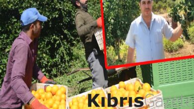 narenciye ureticileri atesi yakti cozum istiyoruz slW8g2k8