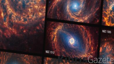 nasa 19 spiral galaksinin fotografini paylasti yjpIKZXx