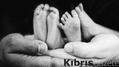 norvec dort ulkeden evlat edinme surecini askiya aldi M3vkWkNL