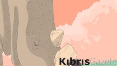 okuyanin icini isitan duygu yuklu en uzun gece kitabi TC2X9css