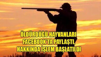 oldurdugu hayvanlari facebookta paylasti hakkinda islem baslatildi 1105 2024 01 08 m