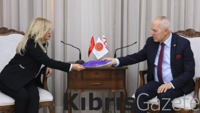 ombudsman 36 donem raporunu toreye sundu rSQs82WB