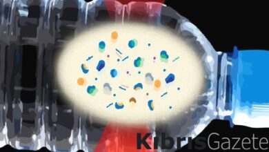 Ortalama bir şişe su, 240 bin parça kansere neden olan nanoplastik içeriyor 1 ortalama bir sise su 240 bin parca kansere neden olan nanoplastik iceriyor l6KigVTt