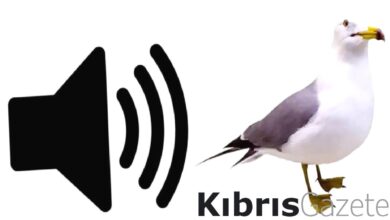 pendikspordan 4 0lik galibiyet sonrasi besiktasa gonderme 5eHtxHDc