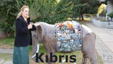 sibel tatar ltbyi goreve cagirdi GtiHXiKB