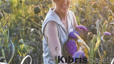 sofralarin vazgecilmez yemegi olan enginarin tarihini anlatan kaynak kitap enginar tarihi u7Rss9FR