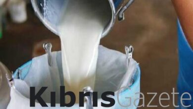 Süt bedelleri ödeniyor 1 sut bedelleri odeniyor fwYtG5h8