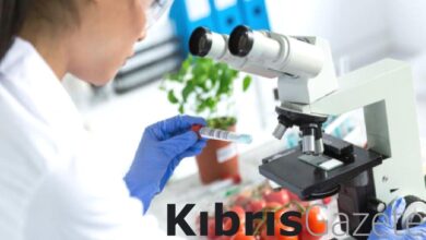 tarim dairesi gida analiz sonuclarini acikladi yerli urunlerden sili biber ve havuc imha edildi YWYk5vMg