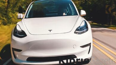 tesla almanyadaki fabrikasinda uretimi durdurdu SXd55kH6