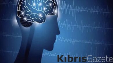 universite mufredatlarina yapay zeka dersleri eklenecek byeONs9F